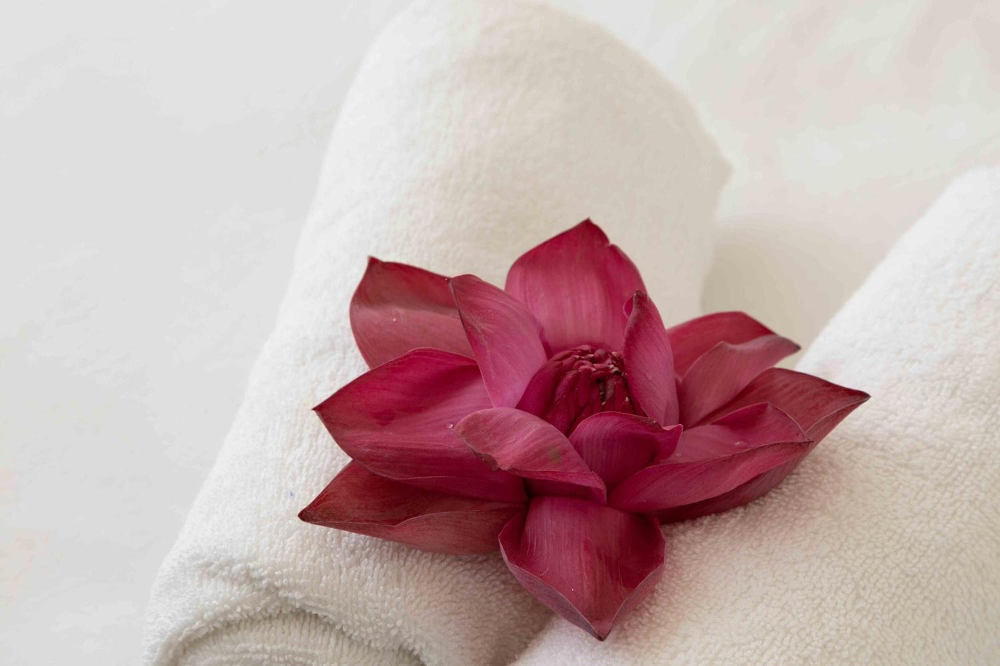 Lotus Colombo Guesthouse 外观 照片