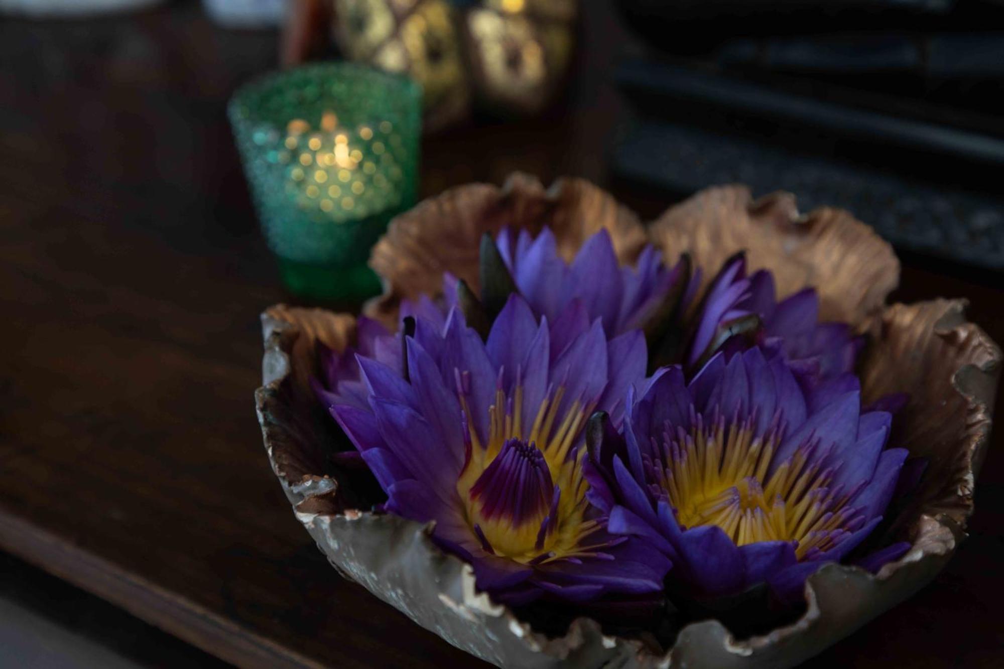 Lotus Colombo Guesthouse 外观 照片