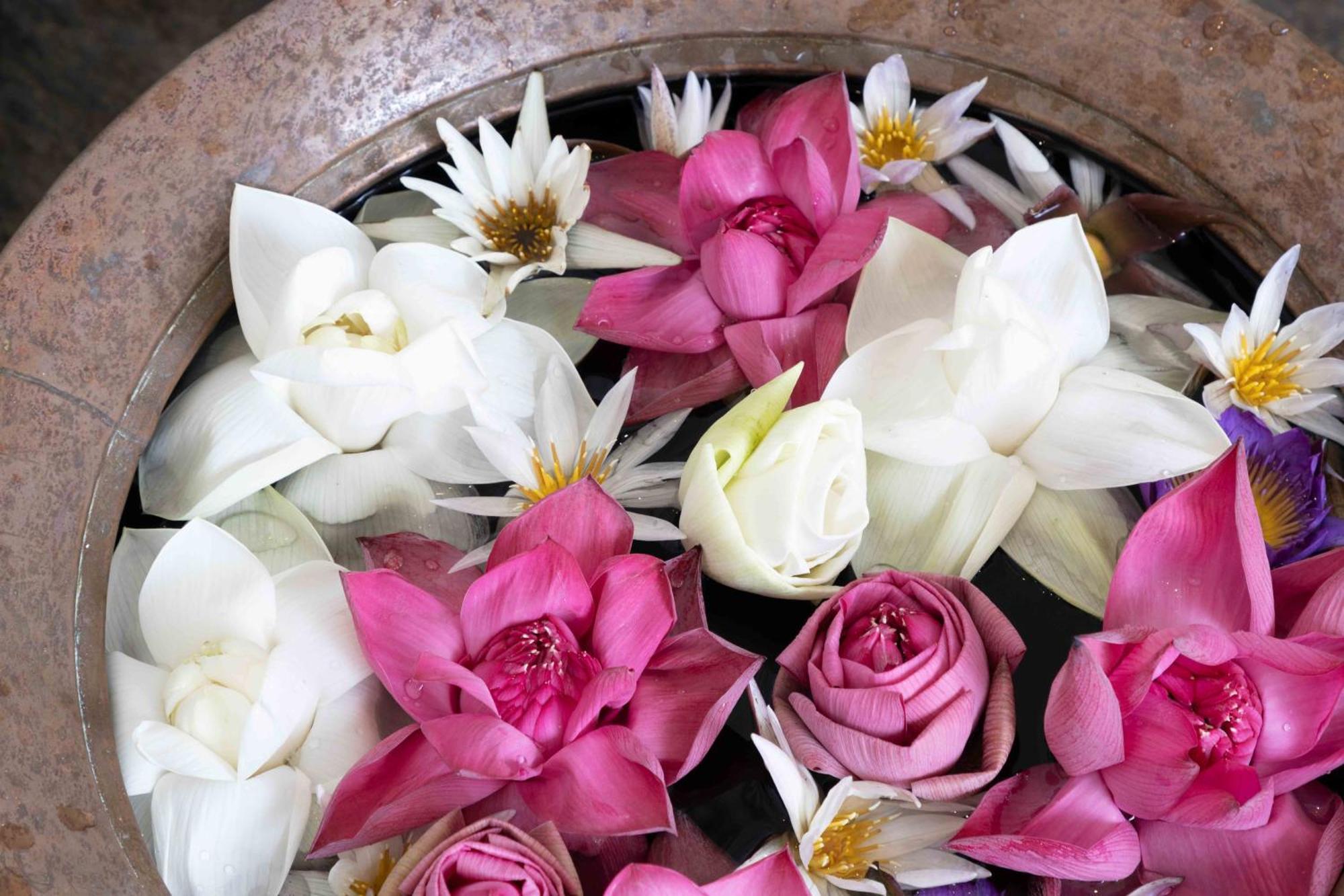 Lotus Colombo Guesthouse 外观 照片